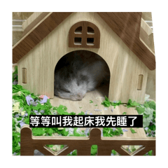麻麻的家常