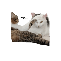 saltn_20250722184254