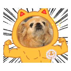 yuki_20250723015514