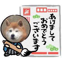 新埔momojun