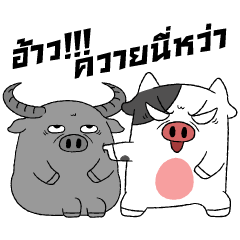 โคหวีด05 นี่แหละคือฟาร์มกดดัน