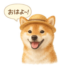 Shiba Summer Days