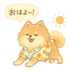 Fluffy Summer Days with Pomeranian