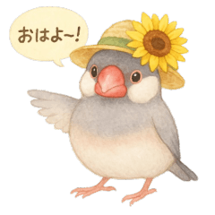 Summer Birds: Buns & Cockatiels