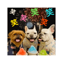 動くブヒブヒなかま　3