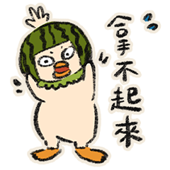 生菜鴨小波的夏天