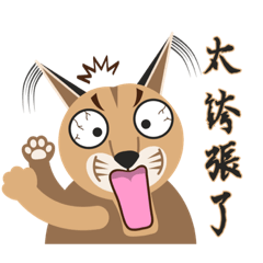檸檬貓