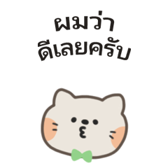 POPO Cat (Kun) - Gentle Care | TH