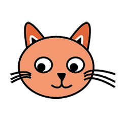 The daily life of a very cute cat