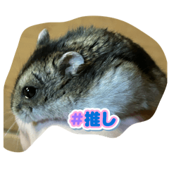 yuzuki_20250719224815