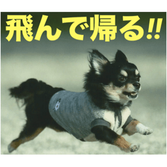 rirupapa_20250722220127