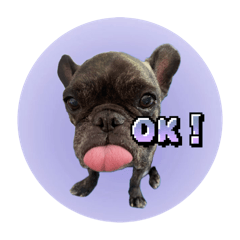 Haruna_20250722221117