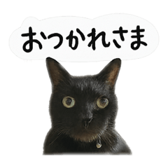 sachiko_20250722224324