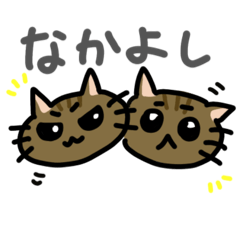 cute parent and child cats