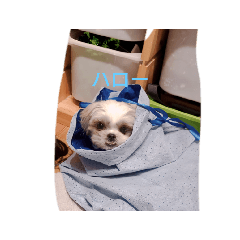 akari_20250723103310