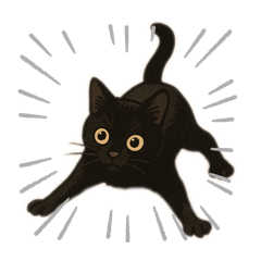 Black Cat  TETO