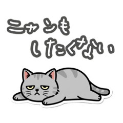 ジト目どうぶつずかん