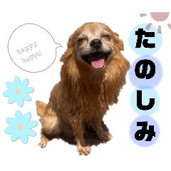 rinka_20250723110812