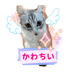 Sayaka_20250723113425