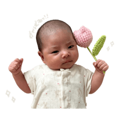 sakura_20250722211114