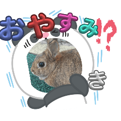 shun_20250722213905