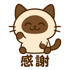 Siamese Cat Daily Stickers