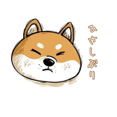 Yuchi_20250722212636