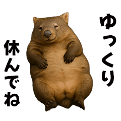 動く！ウォンバット