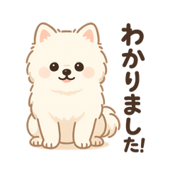 aya_20250723190151