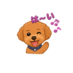 suzu_20250723094034