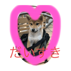 Yurina_20250723094751