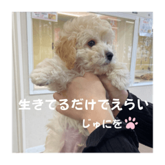 nozomi_20250723164941