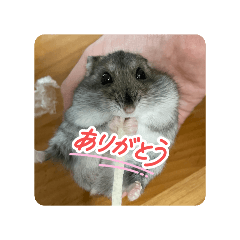 ako_20250723181946