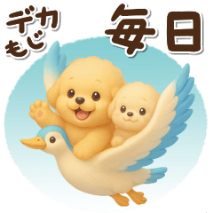 Can be used every day / Toy Poodle