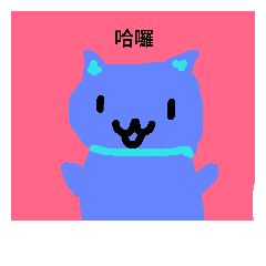 The cute  cat