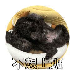 許黑糖