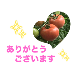 chiyo_20250723162645
