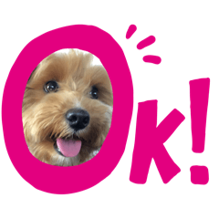 Nozomi_20250723210834