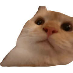 Jimmy_20250723205337