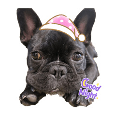 KAORI_20250723223038