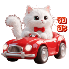 Ging_white_cat cxm pwn