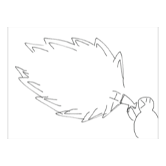 ahotoorikositebaka2