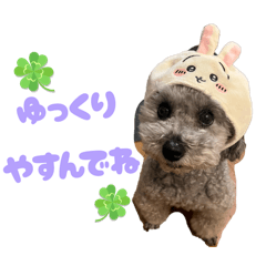 yuka_20250723231216