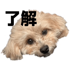 momoka_20250723233307