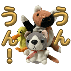 kaho_20250721001408