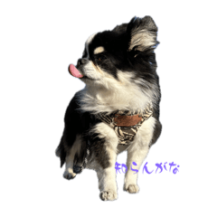 ayurin_20250723234608