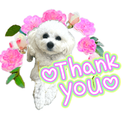 Ohagi_20250722230949