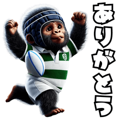 Kids Gorilla x Rugby! 3D Real