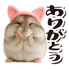 毎日送りやすい♪猫耳ハムの日常フレーズ
