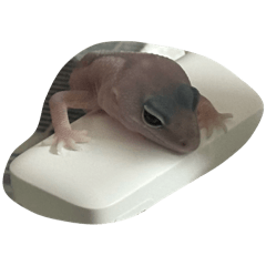 sk_202507222323